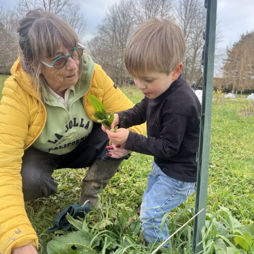 Séjour en famille au pays basque, transgénérationnel domaine de bassilour à bidart