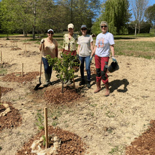 plantation 2 foret comestible du domaine de bassilour à bidart