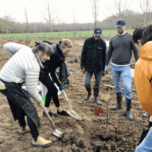 atelier de plantation dans la foodforest du domaine de bassilour à bidart
