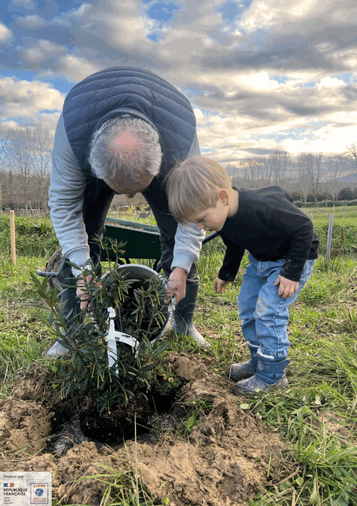 plantation foret comestible du domaine de bassilour à bidart inter generationnel
