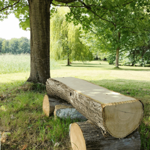 bancs naturels foret comestible du domaine de bassilour à bidart